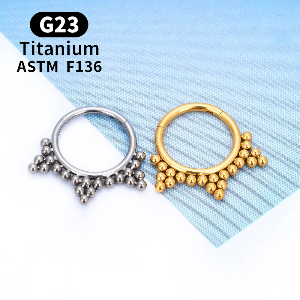 G23 Titanium Round Hoop D Shape Nose Ring Daith Heart Earring 16G CZ  Hinged Segment Ear Tragus Cartilage Helix Piercing Jewelry