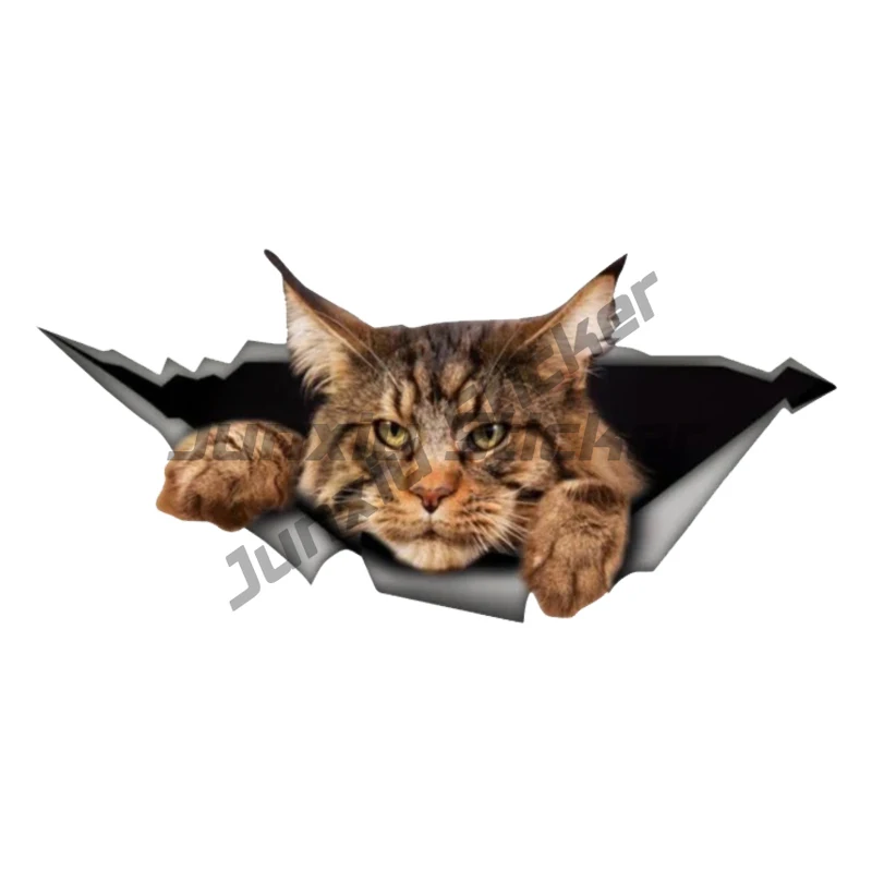 Personality PVC Decal Maine Coon Pet Animal Motorcycle Car Sticker on Motorcycle Laptop Decorative