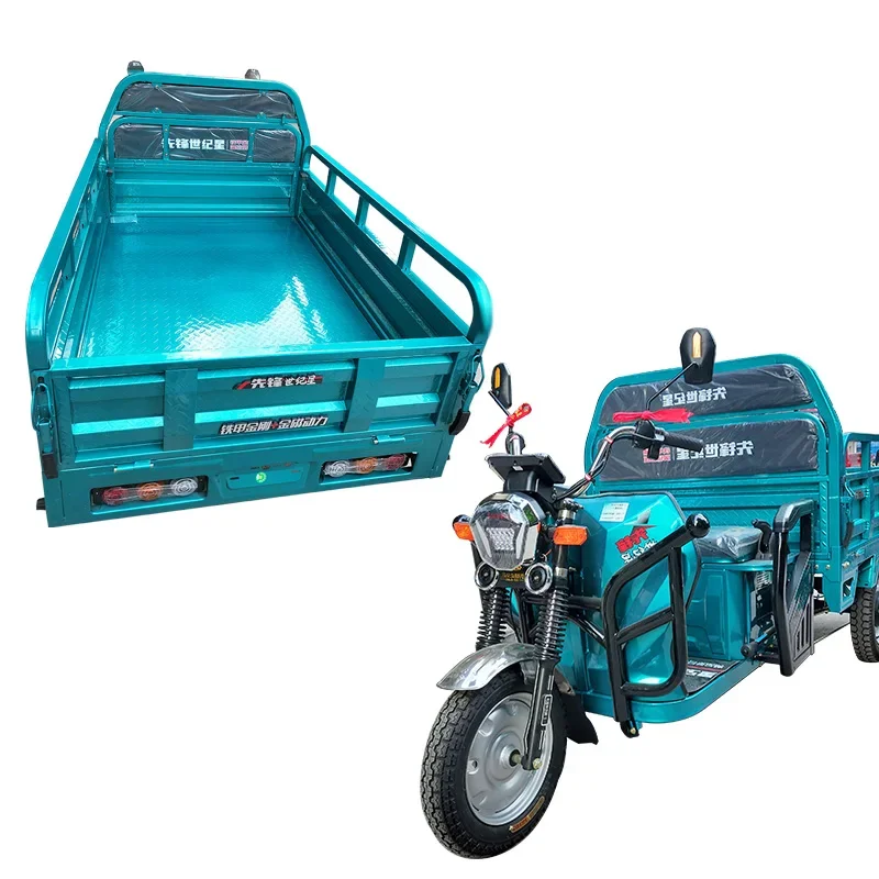 Heavy Duty Electric Cargo Vehicle 1000W/1200W/1500W High Speed Gas Powered Trike 3 Wheels Electric Car