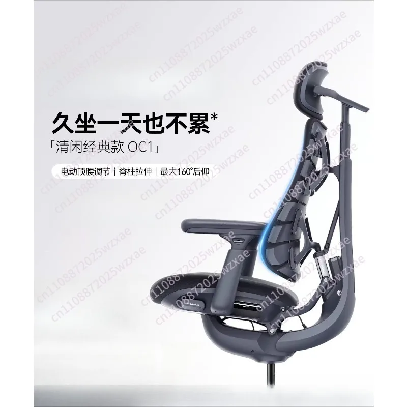Relaxing Dynamic Ergonomic Chair Human Body Ergonomic Chair Computer Dynamic Ergonomic Chair