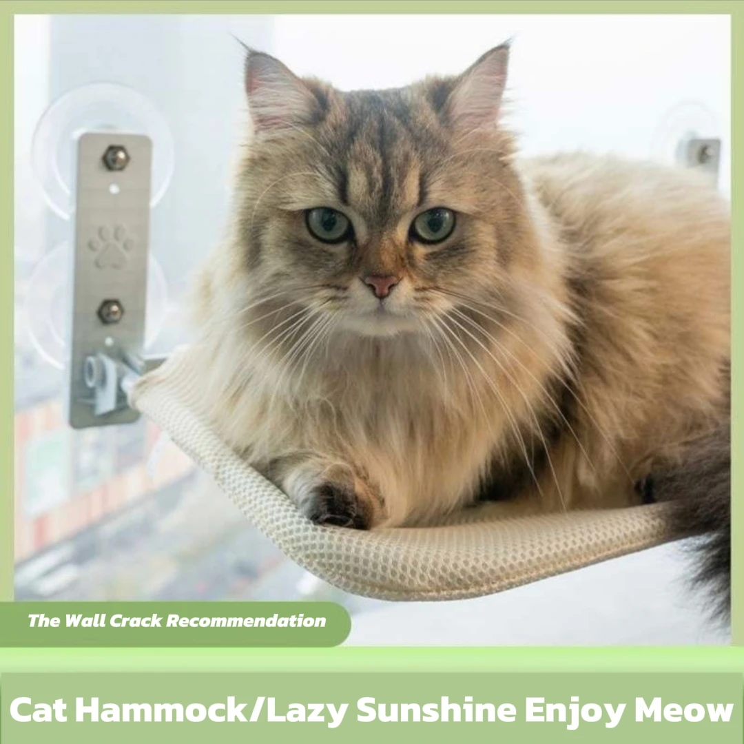 

cat hammock, window cat, sunbathing, hanging bed balcony, cat bed in summer, suction cup glass, cat bedding supplie