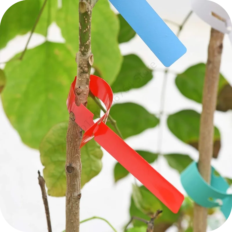 100Pcs 6-Color Waterproof Plant Markers Plastic Plant Hanging Tags Diy Gardening Plant Reusable Marker Label Tools