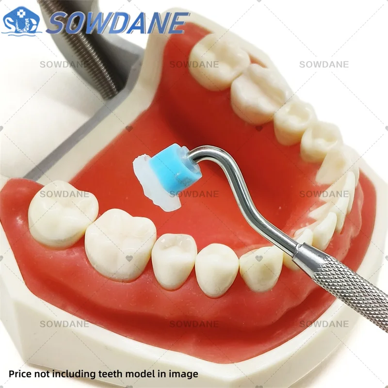 1set Dental Aesthetic Printing Mold Kit with Metal Handle and 8pcs mold for Posterior Teeth Printing Mould set Disinfection