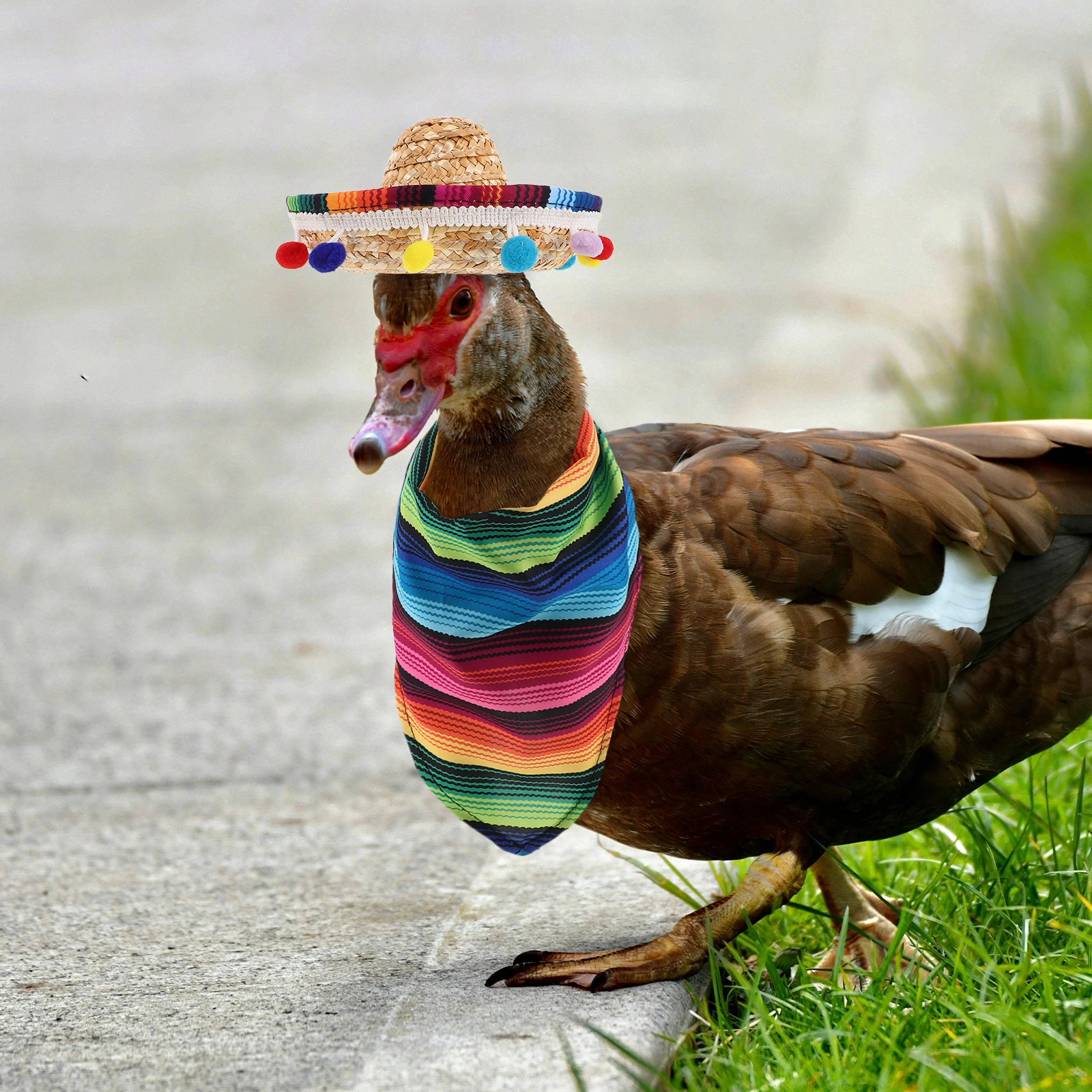 

Mexican Goose Outfit Set Sombrero Hat Triangle Scarf Bib Costume For Lawn Garden Party Halloween Decor Pet Accessories For Ducks