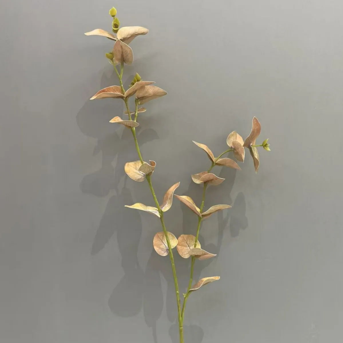 Película de látex de plantas falsas, 2 tenedores, decoración de hojas de eucalipto, fondo de boda, guía de camino, hojas de dinero, arreglo Floral para fiesta en casa, 10 Uds.