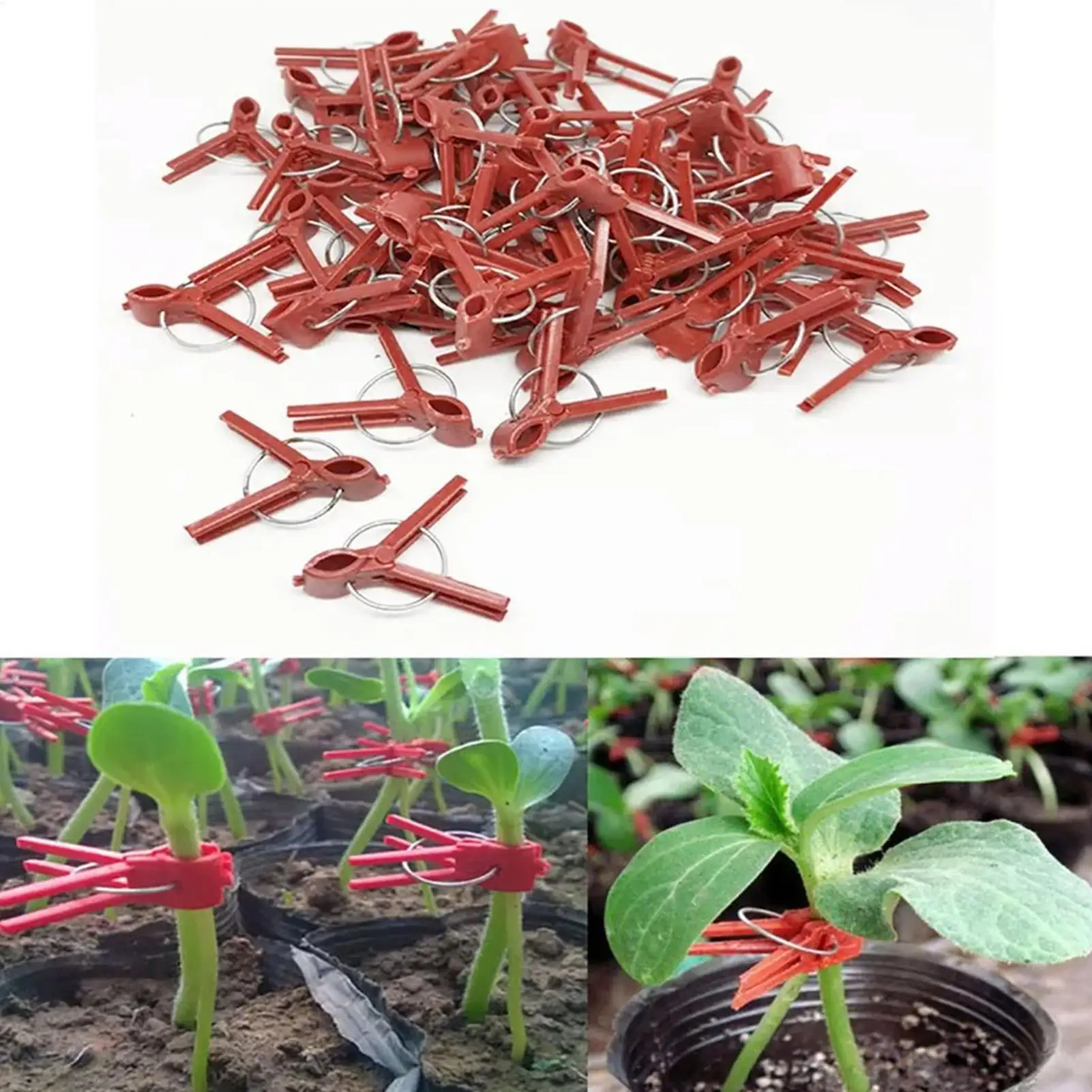 Plant Grafting Clips 50Pcs/set Horticulture Grafting Clamp Anti-fall Plant Support Clips Gardening Tool For Vegetables Watermelo