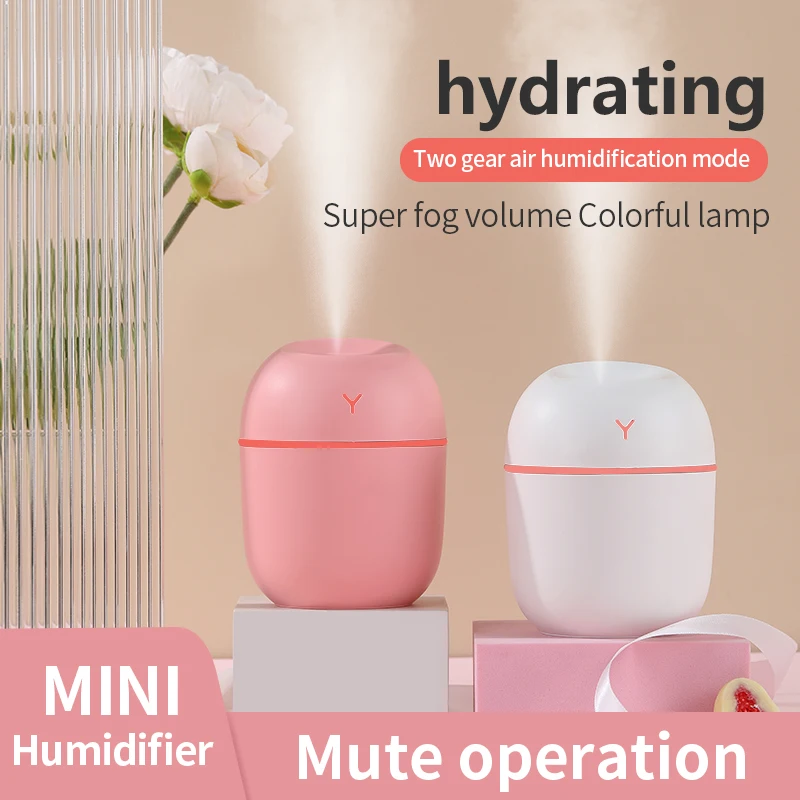 휴대용 220ml H2o 미니 컵 스프레이 미스트 가습기 이중 습식 아로마 오일 디퓨저 차량용 USB 에그 가습기 (컬러풀 LED 포함)