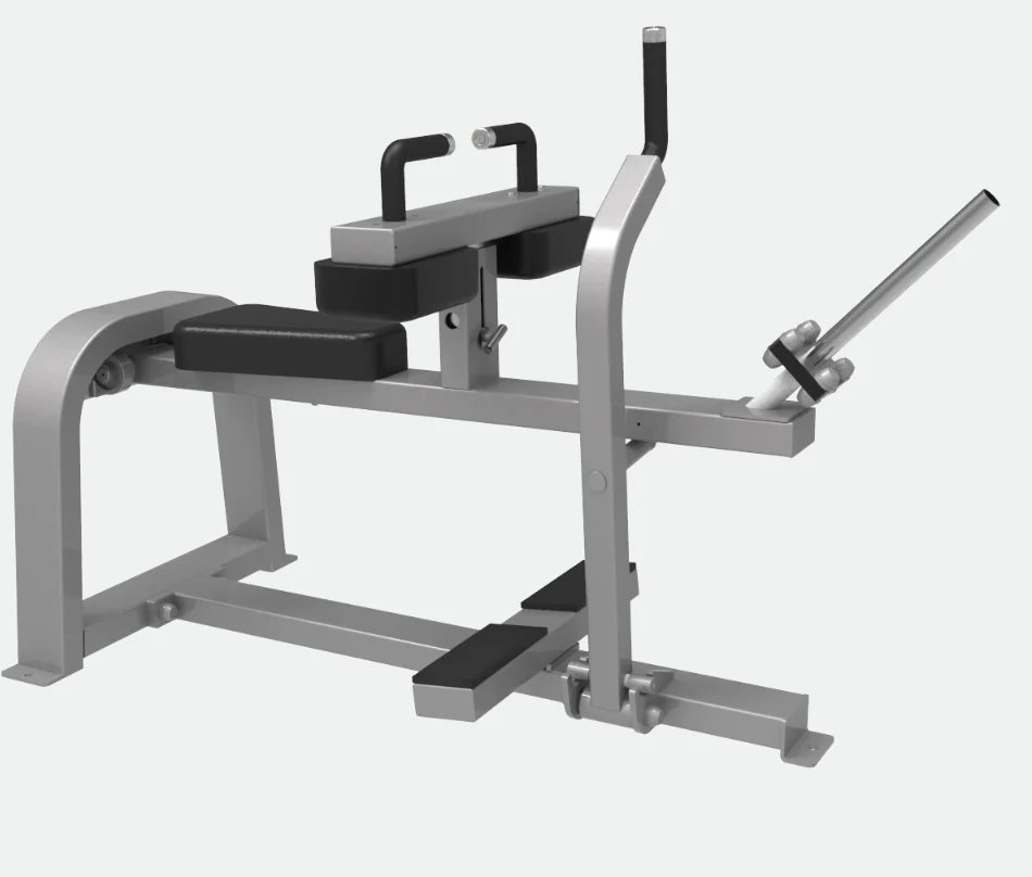 

Fitness Equipment Seated Calf Raise Machine Customized Color Body Sports Seated Calf