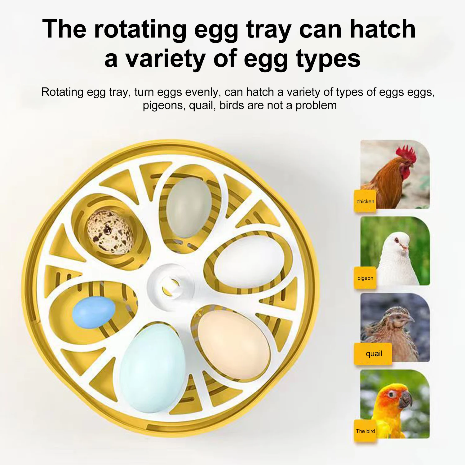 Mini Egg Incubator for 6-18 Eggs Fully Automatic Brooder Egg Incubator With Temperature Control LED Display for Hens and Birds