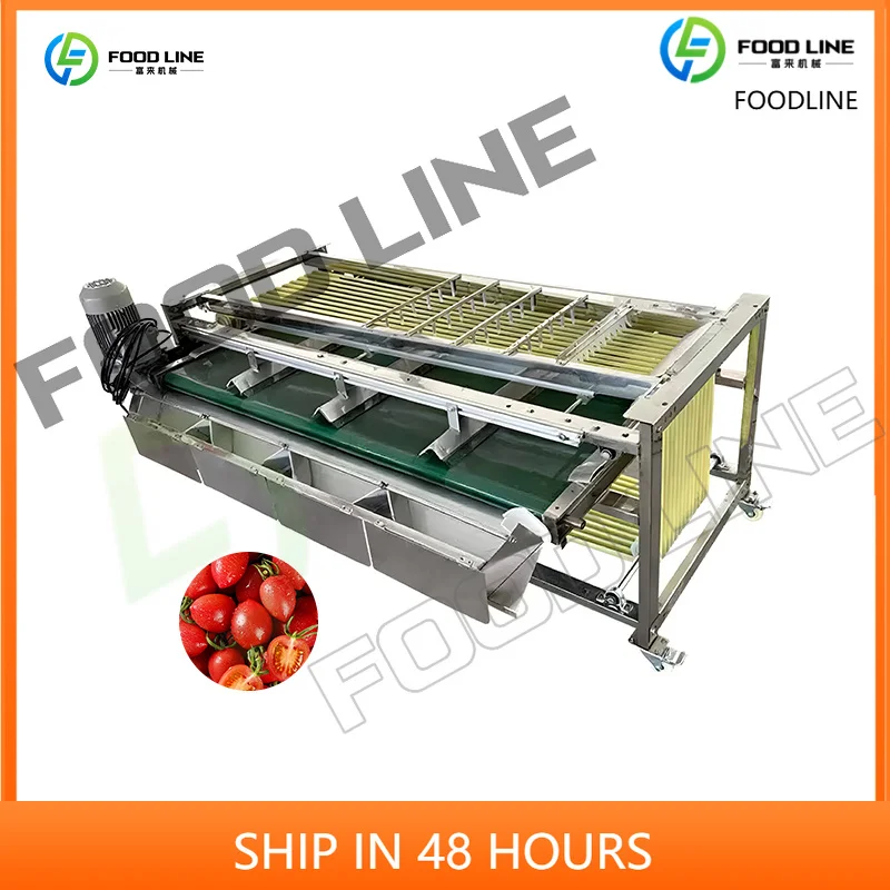 Customized Mandarin Orange Sorting Machine Citrus Fruit Sorting Machine Vegetable and Fruit Sorting Machine