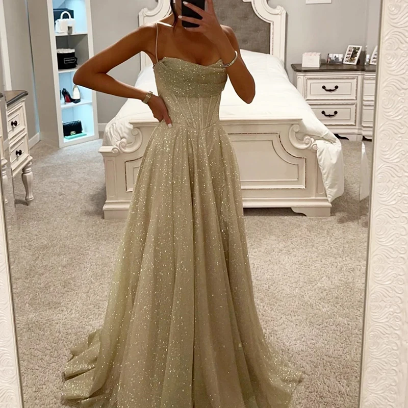 Vrouwen Holle Mouwloze Mesh Avondjurk Bronzing Hoge Taille Geplooide Lange Jurk Verjaardagsfeestje Jurk Elegante Mode Nieuwe 2024