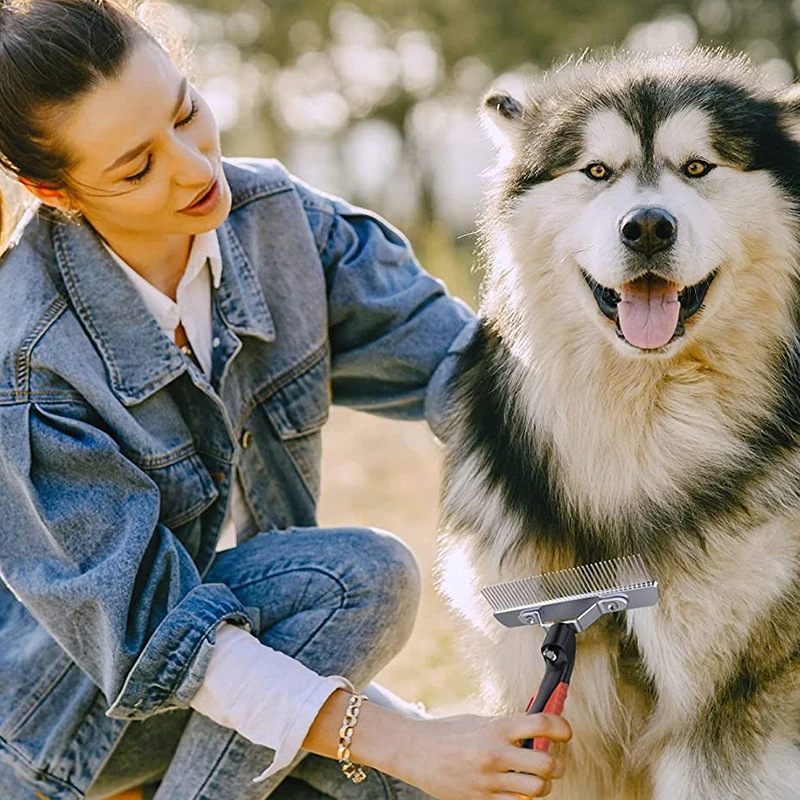 Grande brosse de toilettage pour chiens, râpe à poils longs, peigne en acier antidérapant, pour Golden Retriever, Husky, berger allemand