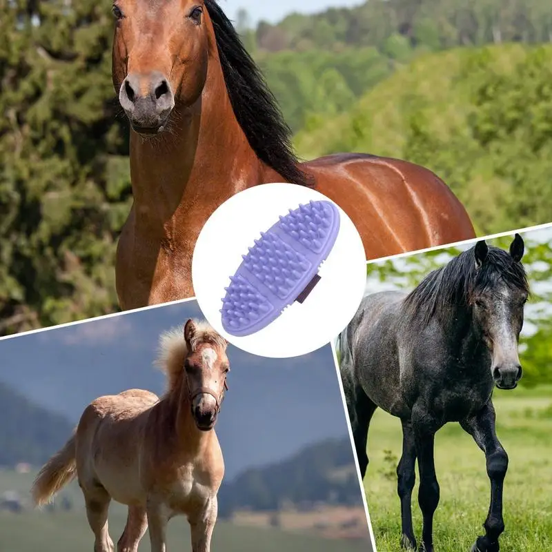 Ferramenta de limpeza de cavalos, pente de cauda de juba, escova de massagem, design curvo com faixa elástica, ferramenta de limpeza de cavalos