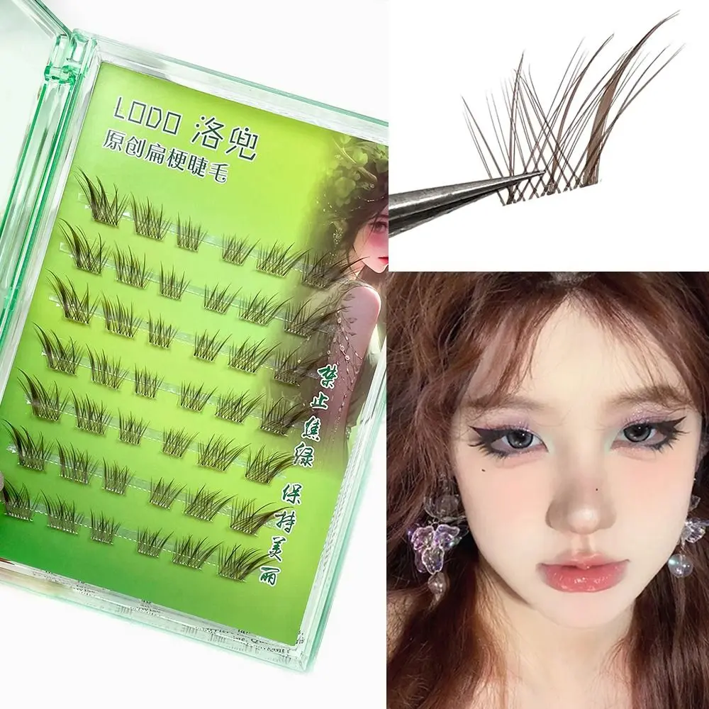 3D Manga Fox Eye marron grappes de cils brun foncé doucement grappes de cils naturel moelleux cils individuels bricolage Extensions de cils