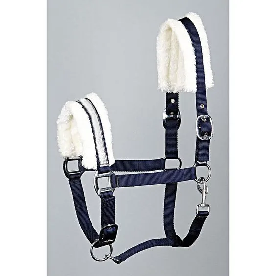 رسن الحصان والرأس، معدات ركوب الخيل بياقة رأس الخيل #4