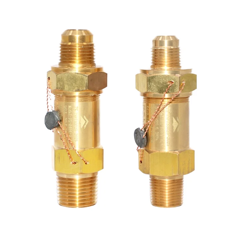 

Взрывозащищенный пневматический предохранительный клапан FS/FL Тип холодного хранения Резервуар для кондиционирования воздуха Латунные предохранительные клапаны Emerson под давлением