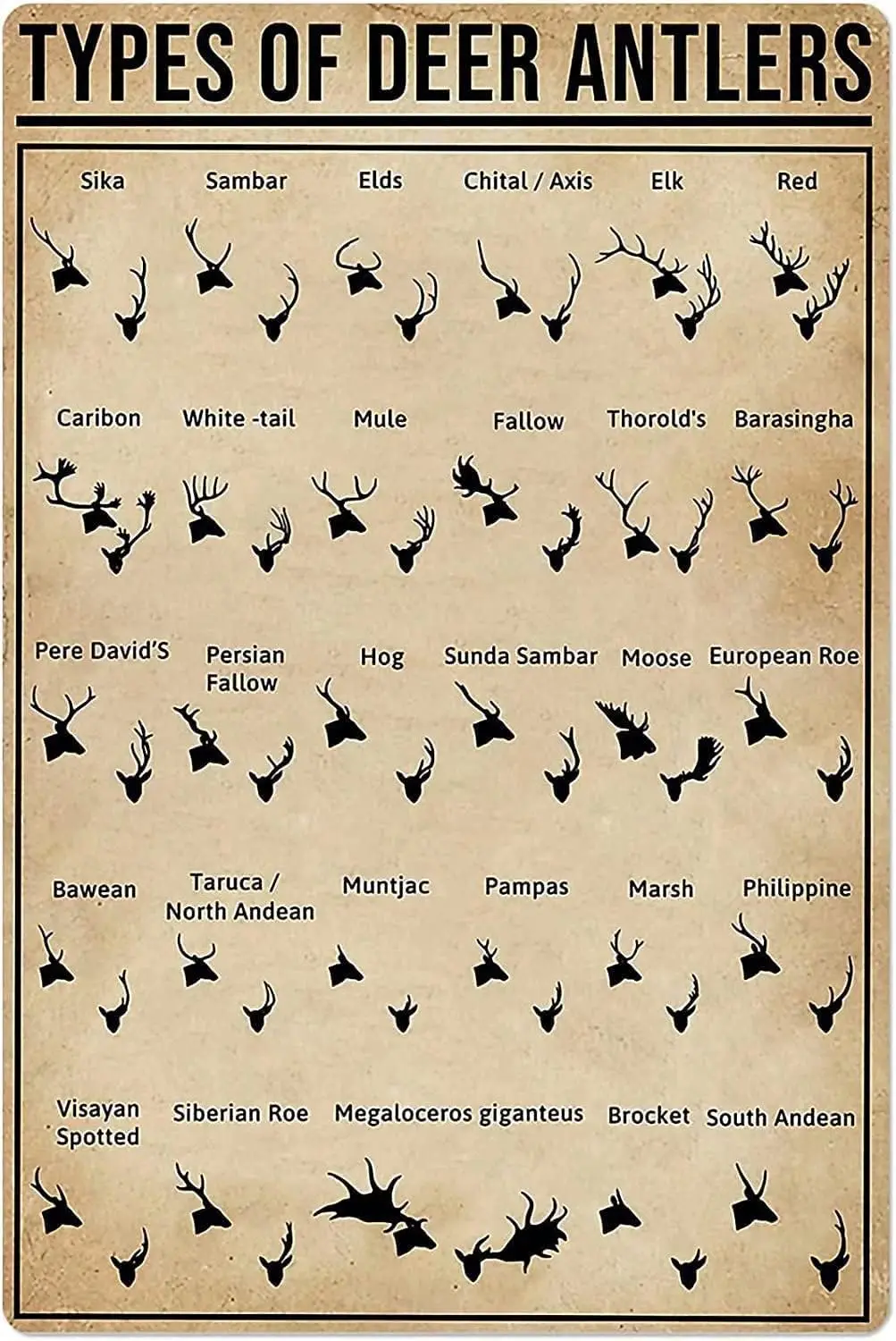 Types Of Deer Antlers Metal Signs Vintage Antlers Reference Guide Posters Hunter Learning Knowledge Tin Sign for Home Cave Club