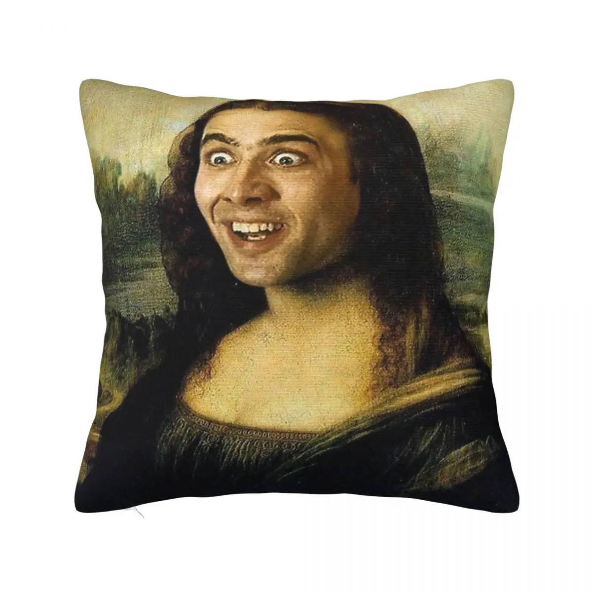 Nicolas Cage As The Mona Lisa Pillowcase Soft Fabric Cushion Cover Gift Throw Pillow Case Cover Home Dropshipping 45*45cm