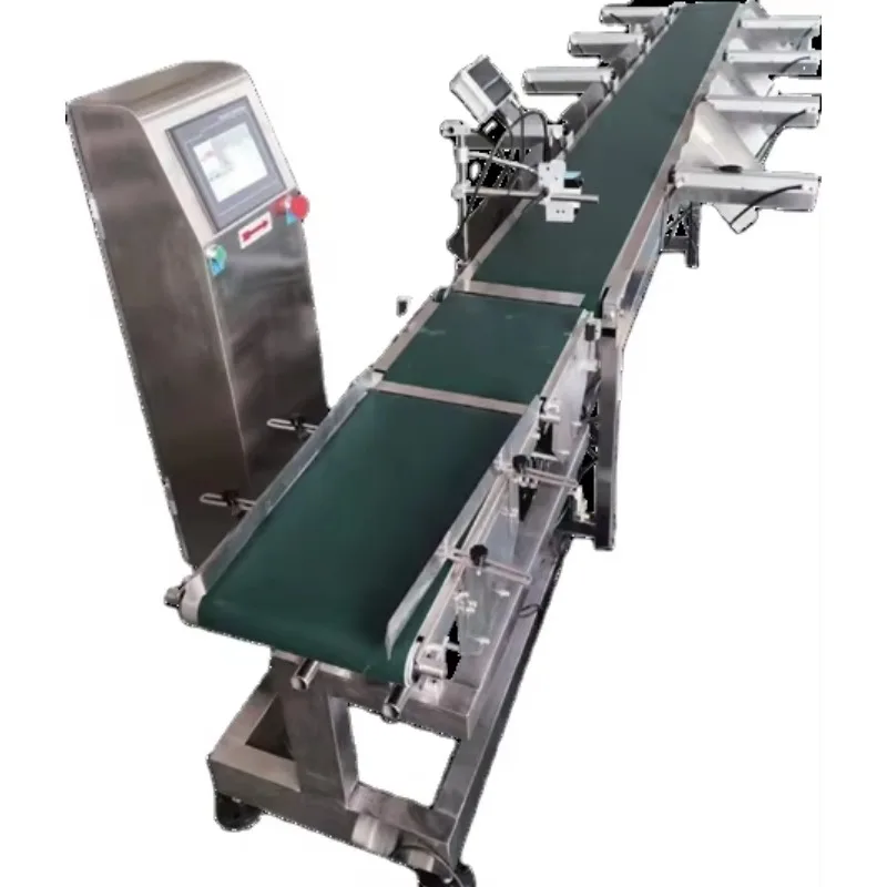 

DFDD Belt scale food automatic check weight multi-scale multi-level sorting scale