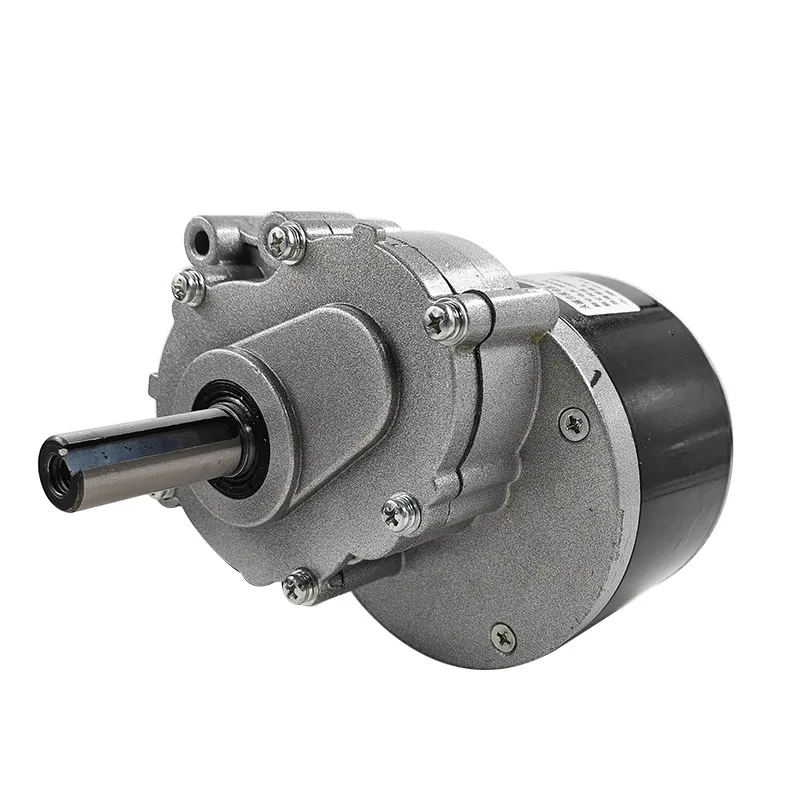 MY1016Z 250W 24V Permanent Magnet Brushed DC Motor 75rpm/120rpm 44mm Shaft 17mm Diameter for Wheelchair