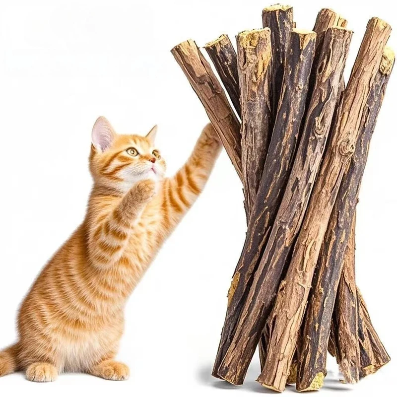 Natural Silvervine Cat Chew Sticks Catnip Toys for Teeth Cleaning Kitten Dental Care Molar Sticks Pet Supplies