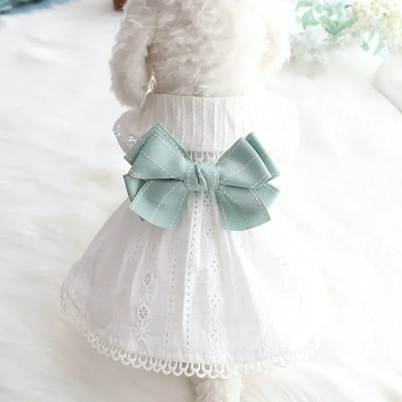 Spring and Summer Thin Skirt for Dog, Lolita Princess Mint Butterfly Cat Pet Clothes