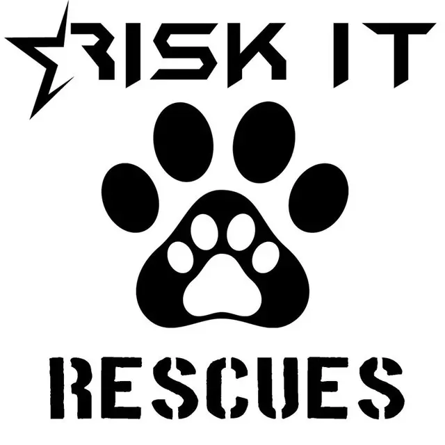 

10.2CM*10.2CM Risk It Rescues Dog Cat Car Window Vinyl Decal Sticker Paw Car Styling Fashion Car Stickers