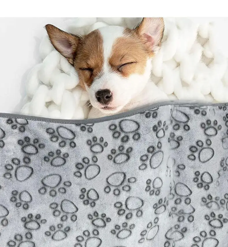 Soft Fluffy High Quality Pet Blanket Cute Cartoon Pattern Pet Mat Warm and Comfortable Blanket for Cat Dogs