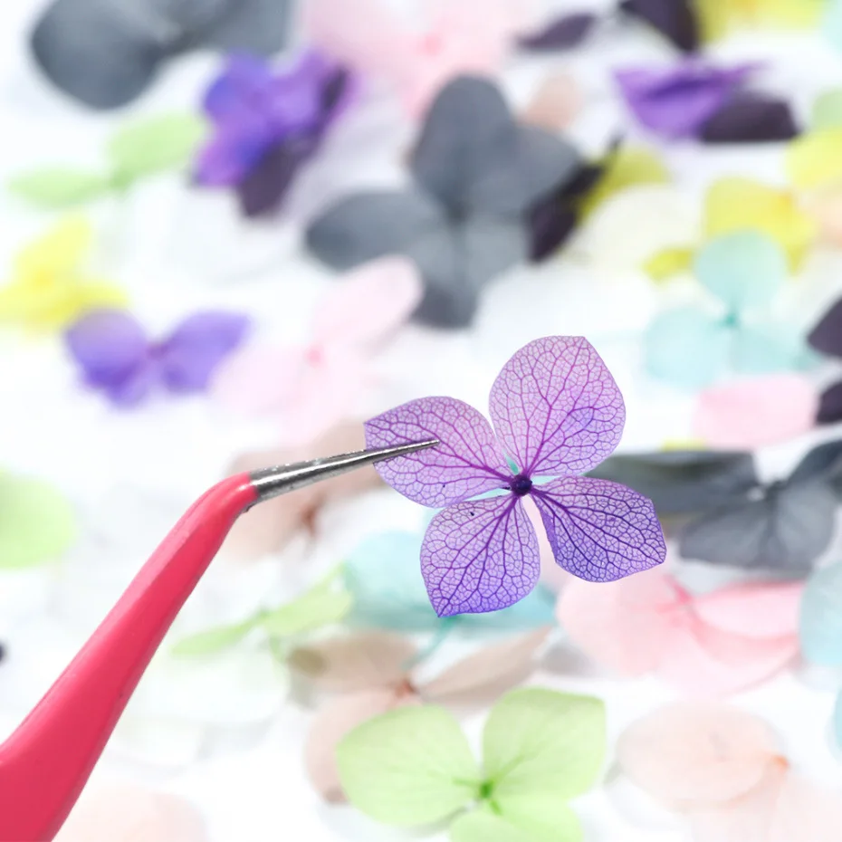 50-100pcs Nail Dry Flowers Decorations Real Flower/Natural Floral Sticker DIY Colorful Decals For Nail Art/Manicure/Face/Makeup