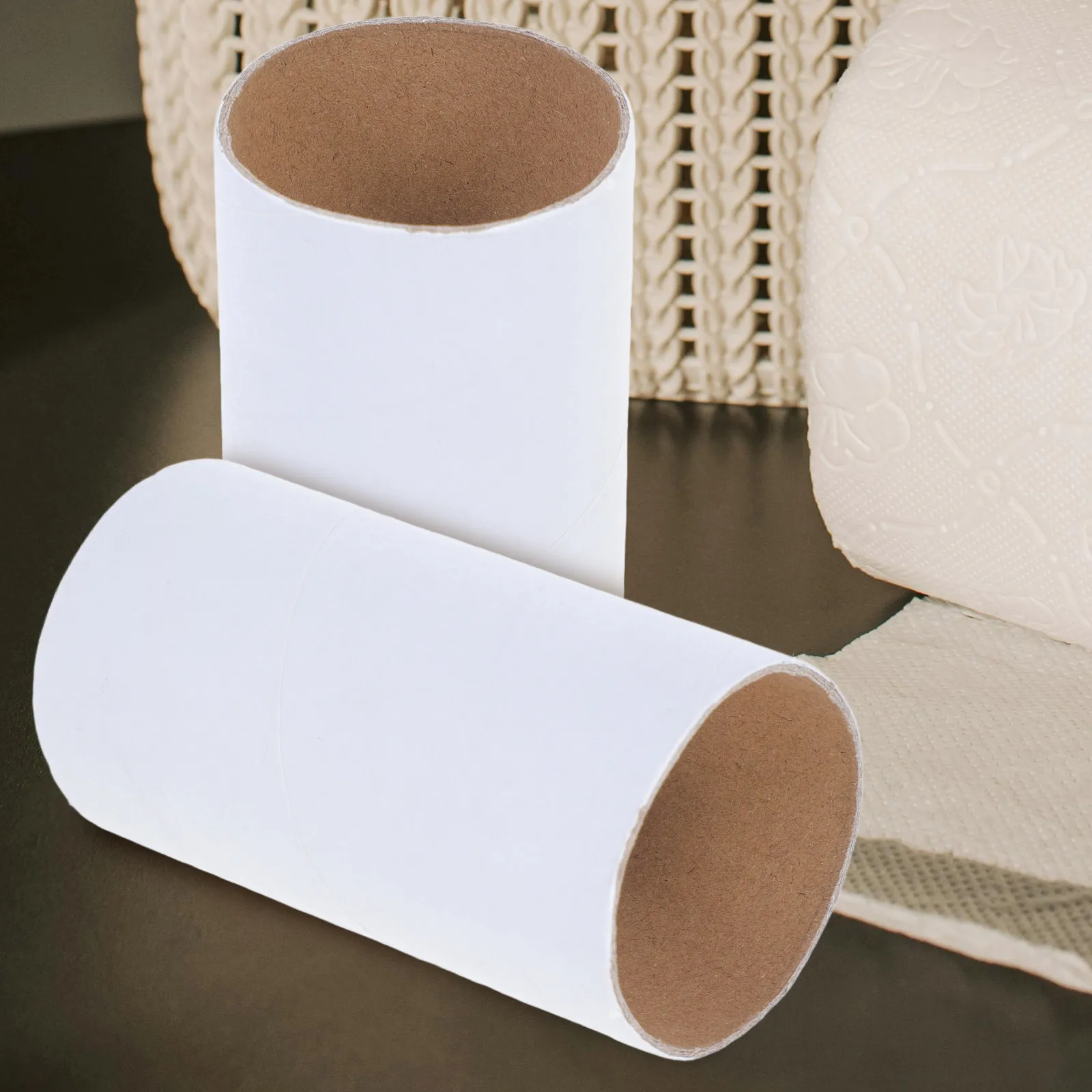 

12 Pcs Paper Tubes Blank White Cylinder Cardboard Craft Supplies Diy Material Graffiti Creations Towel Rolls Bulk