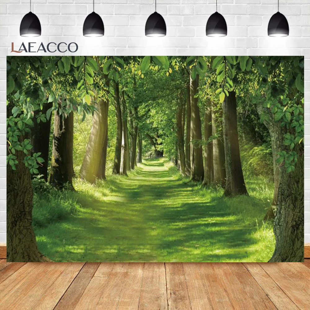 خلفية تصوير الغابات الاستوائية ، الربيع ، الغابة ، المطر ، الأوراق الخضراء ، المناظر الطبيعية الخلابة ، ديكور الغرفة ، الخلفيات ، استوديو الصور