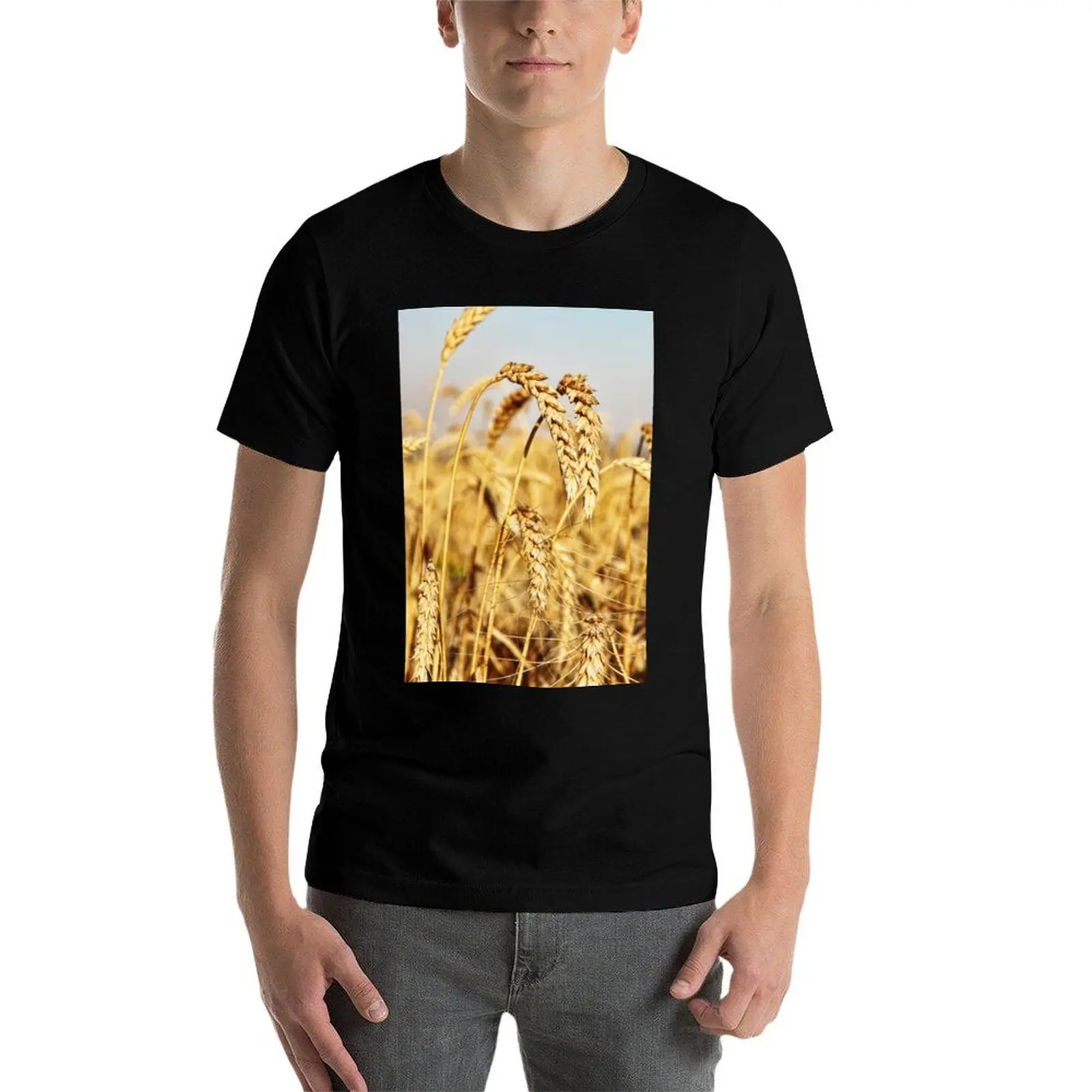 

Ripe wheat ears on field. T-Shirt cotton t shirt pack cotton t shirt man printed t shirts for man T-Shirt