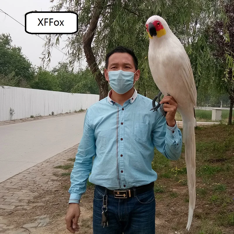 huge real life parrot model foam&feather white parrot bird model gift about 110cm d0162