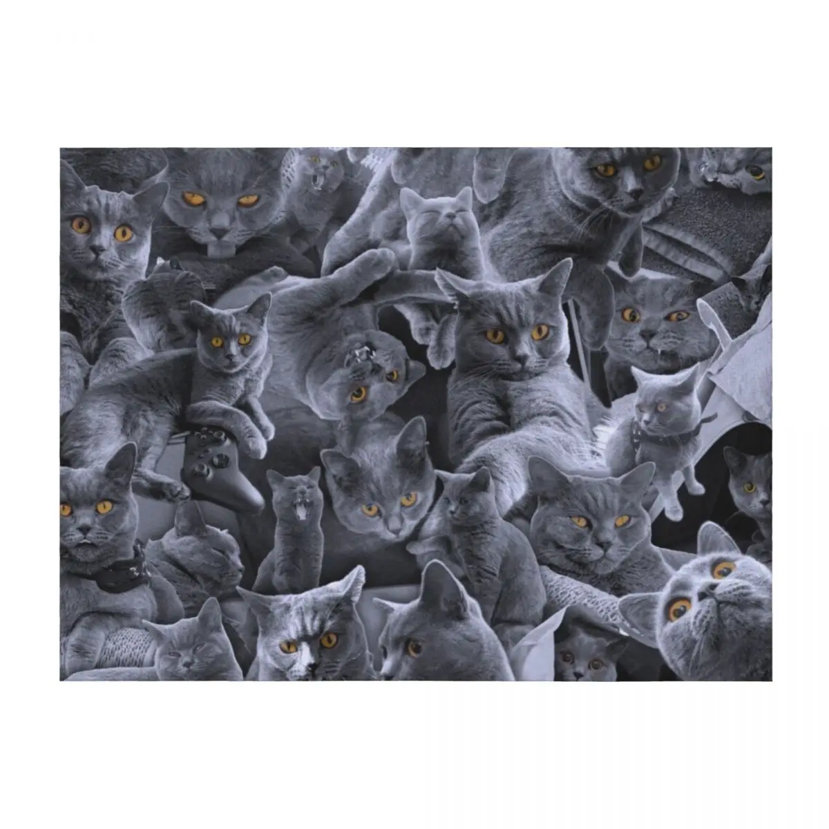 

British Shorthair Cat Collage Throw Blanket blankets ands Baby Winter beds Tourist Blankets