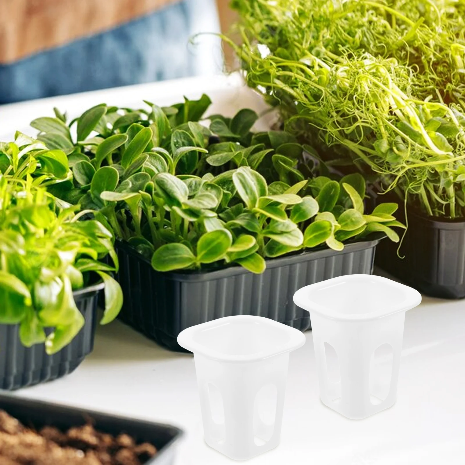 50 個の耐久性のある水耕栽培バスケット、蘭、トマト、ピーマン用の正方形の容器、白い無土壌栽培ポット