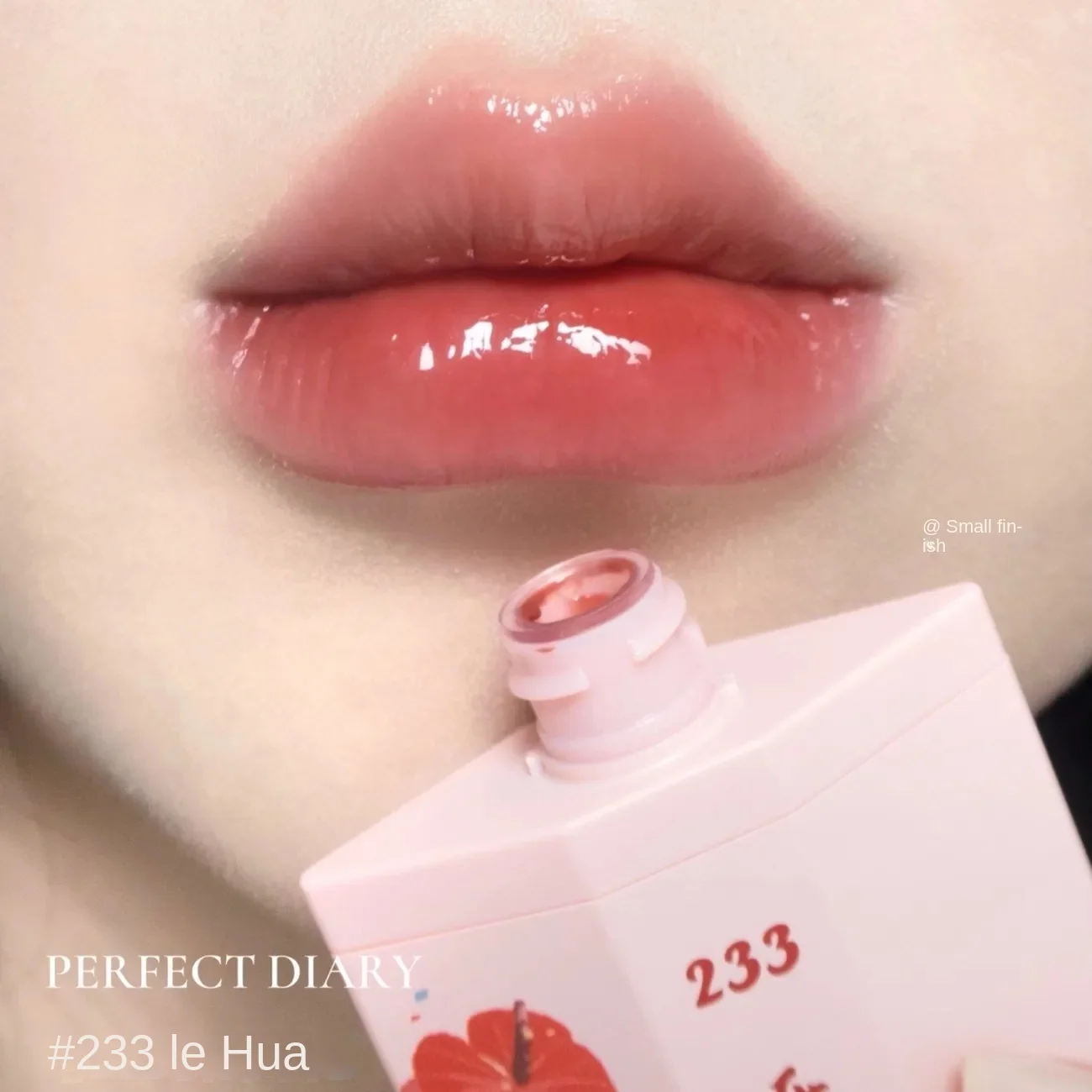 Diário perfeito Matte Lip Gloss para mulheres, maquiagem leve, impermeável, duradoura, Red Lip Tint, Lip Glaze cosméticos