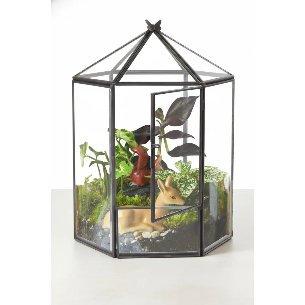 

Hexagonal Glass Terrarium for Succulents & Air Plants - Home Office Garden Decoration, Geometric Plant Display Case