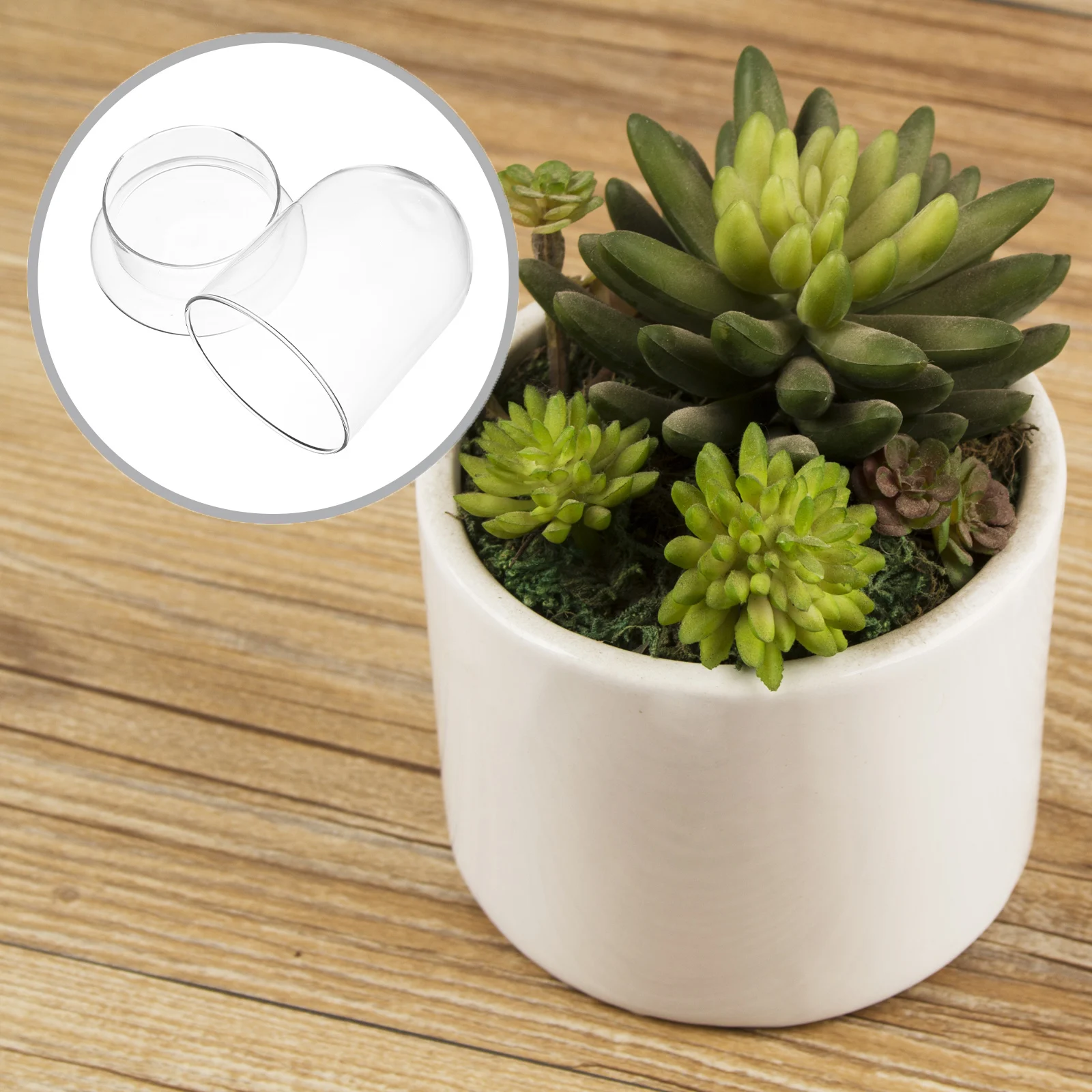 

Glass Bottle for Terrarium Small Ecological Container with Lid Perfect for DIY Miniature Landscape Home Office Decor