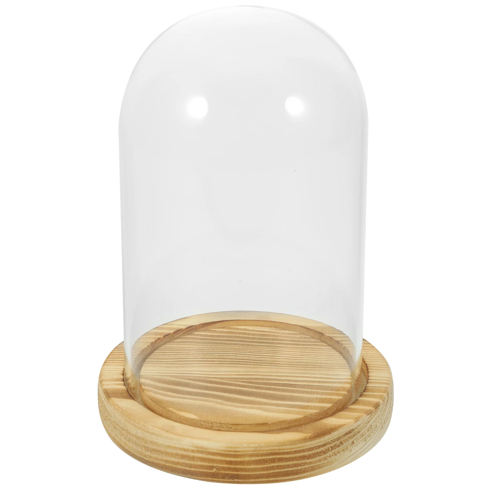 

Glass Display Cover 9x15cm Floral Decorations Transparent Showcase Base Dried Flowers Plants Home Office Use Glass Dome Cabinet