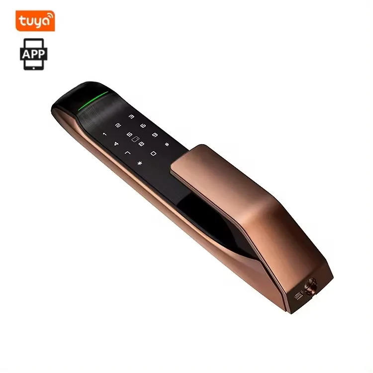 A2 Tuya Smart 6-in-1 Keyless Entry Lock Automatic Self-Locking Electronic Digital Fingerprint Door Bluetooth WiFi Connectivity