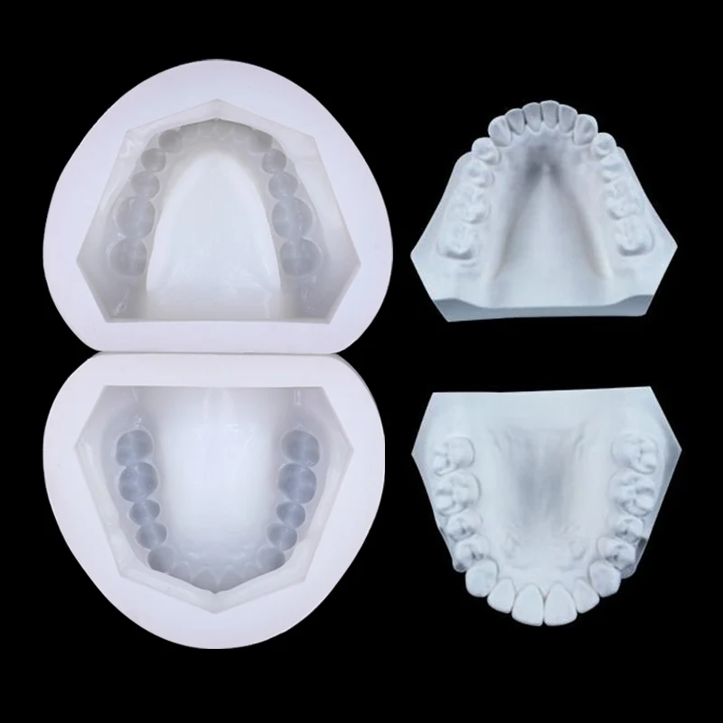 2Pcs Dental Silicone Plaster Model Mold Complete Cavity Block Mould Base Standard Full Teeth Dentistry Equipment Materials Tools