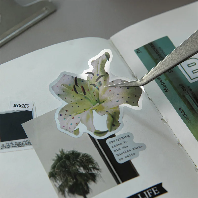 花は続きます 6種類のテープ インスカッティングフィルムテープ 花フォント DIYハンドブック 実用的なコラージュ装飾素材