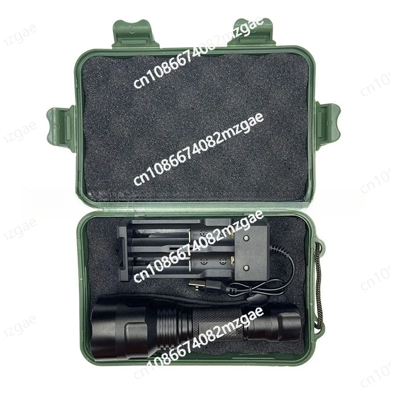 

254nm 253.7nm 250nm 260nm 1W3W5W Ore Detection Photocatalytic Flashlight