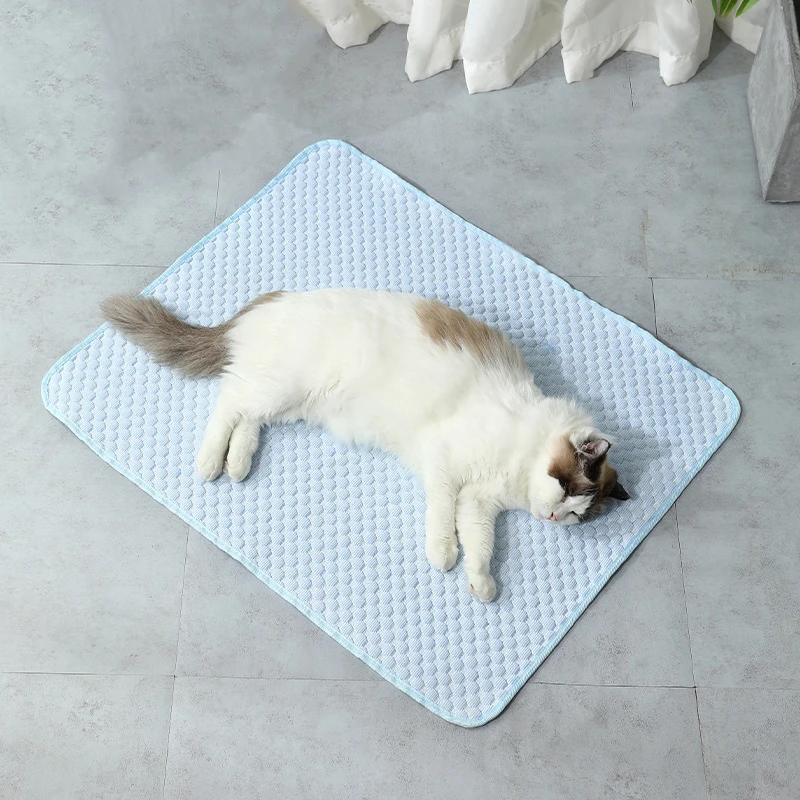 Pinpets accessories USA