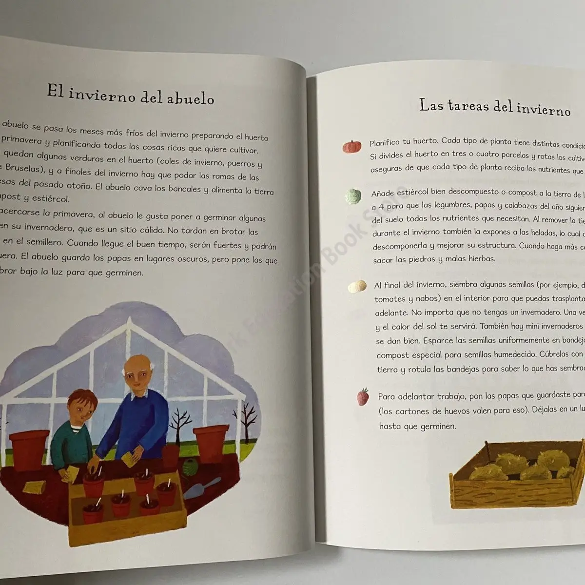 6 Reading Picture Books in The Classic Spanish Original Book Story Teaching Strategy Series