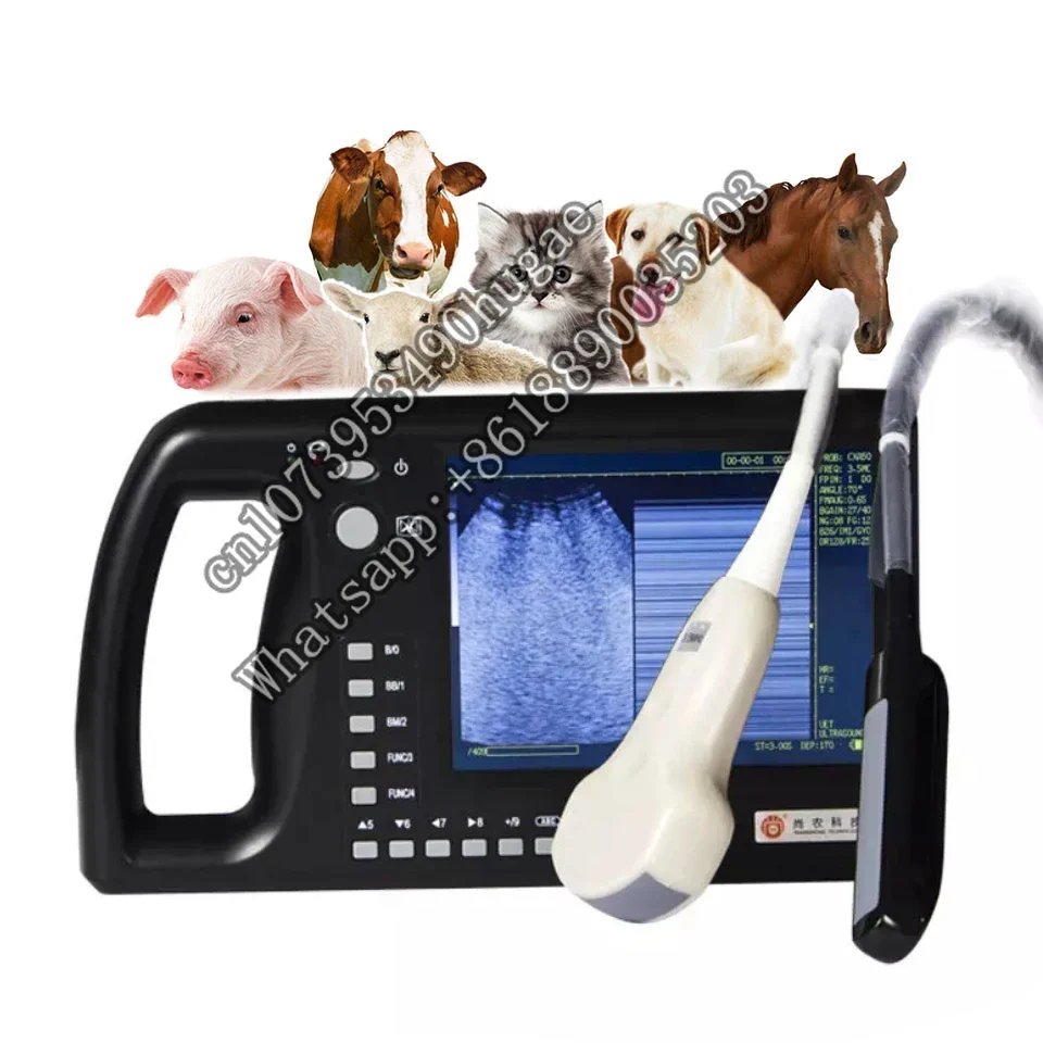 

Veterinary Instrument Full Digital 7 inch Horses Dogs Cows Handheld Ultrasound Machine Scanning