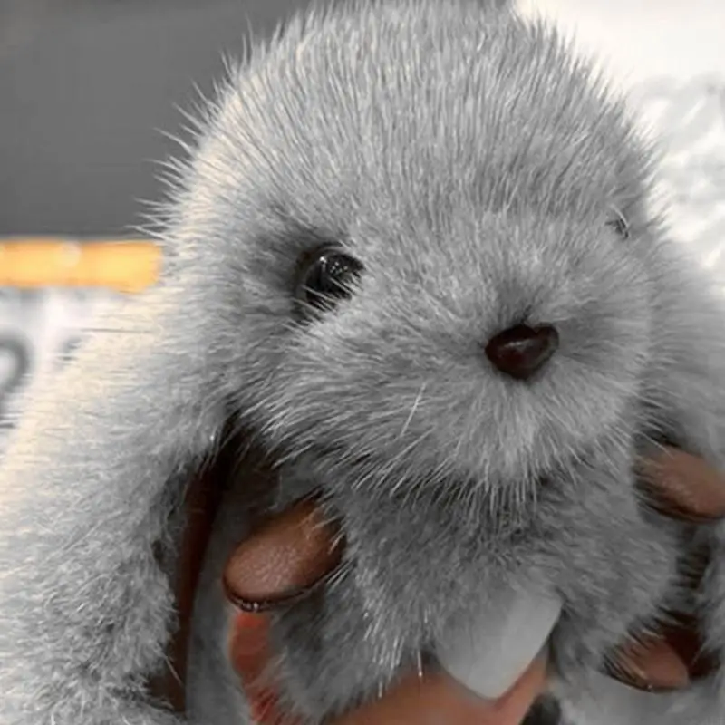 Porte-clés lapin en peluche dessin animé, pendentifs voiture, pour à d'école pour enfants, 425F