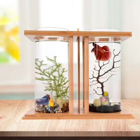 25,5*13 cm Liten Betta-bordsbild med dubbla glasakvarier, klart mikrolandskap, miniatyrbord, akvarium, Betta-fiskskål 8 best sales miniakvarium - №5