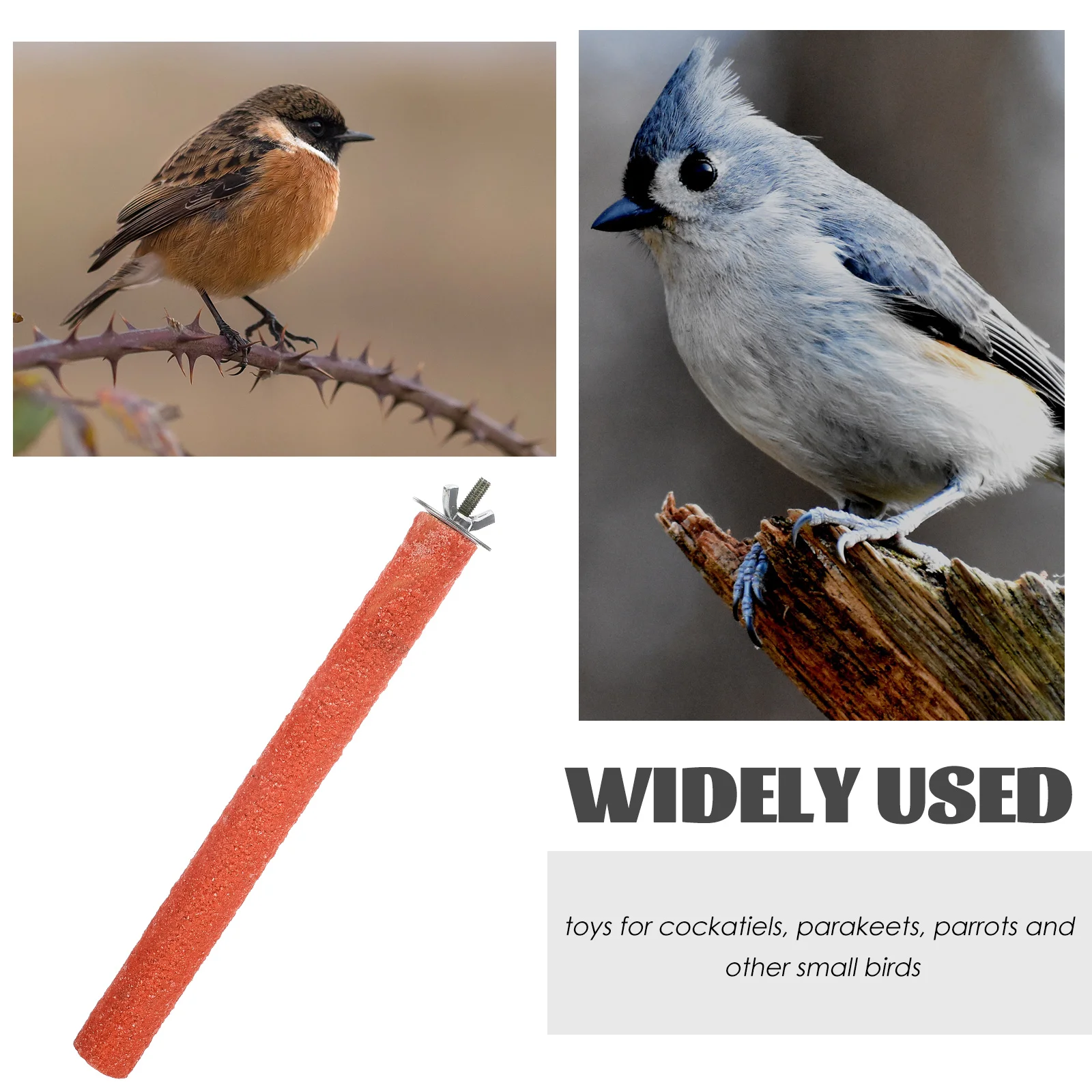 

Eco Friendly Wooden Bird Toy Parrot Stand Ladder Climbing Stick for Cockatiels Pet Training Easy Install Home Office Pet Shop