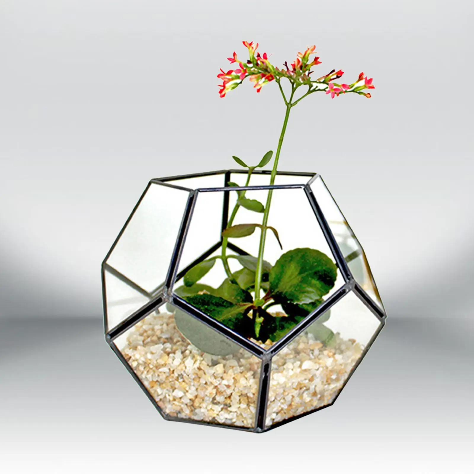 Geometric Terrarium, Planter Shelves, Bonsai Container for , Fern Air Plants Tabletop Decor Gift